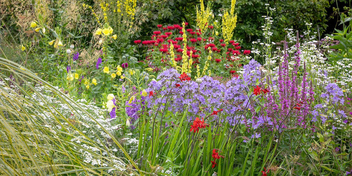 Gardening Tips for July: Embrace the Summer Greenery