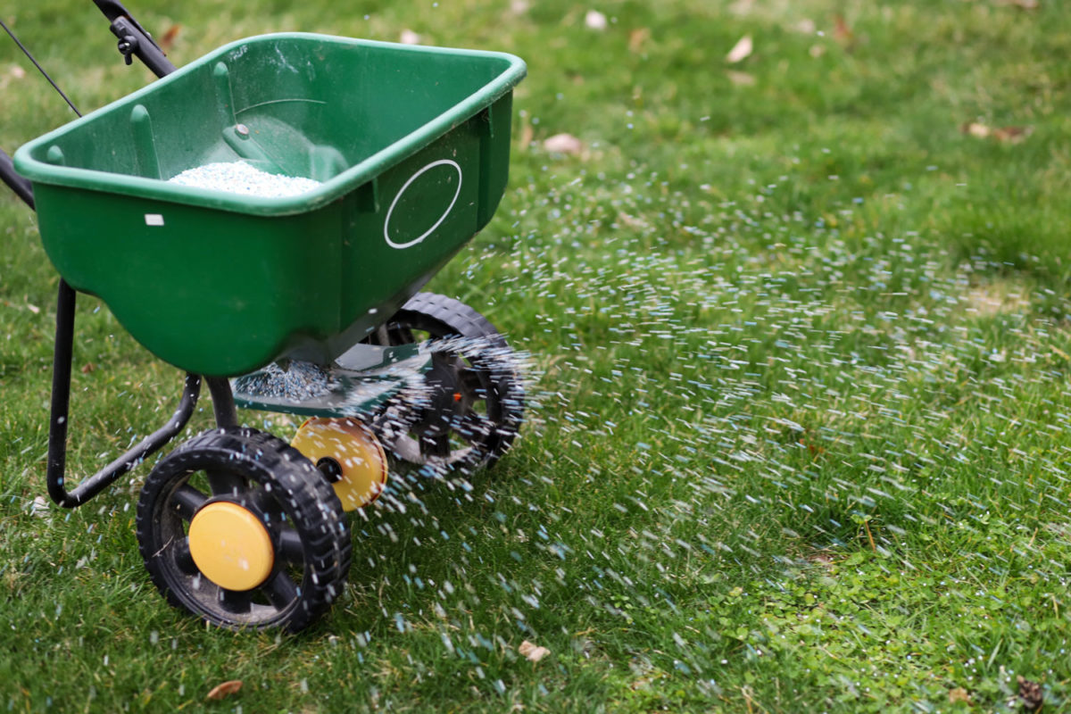 Fertiliser treatment for lawns