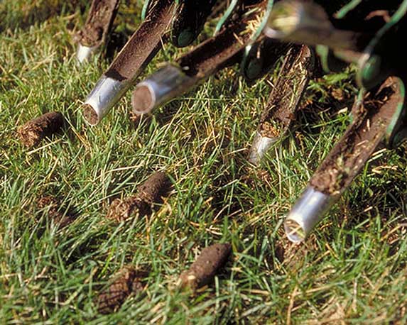 How can aeration improve the quality of your lawn?