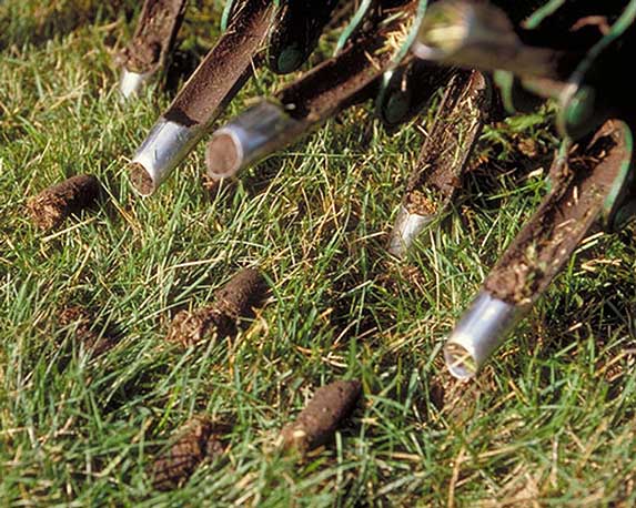 Aerating wet lawn deals