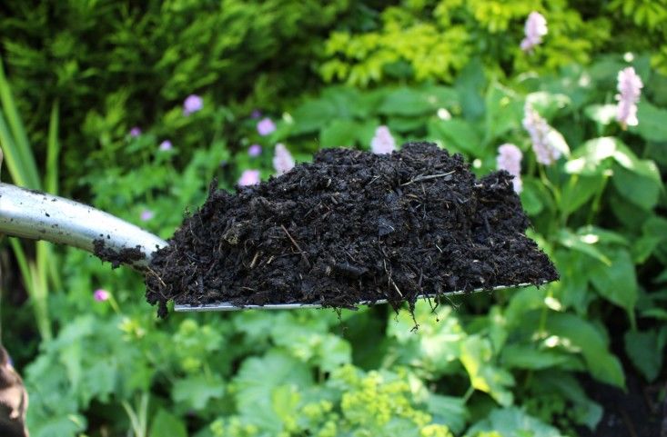 Make your own compost