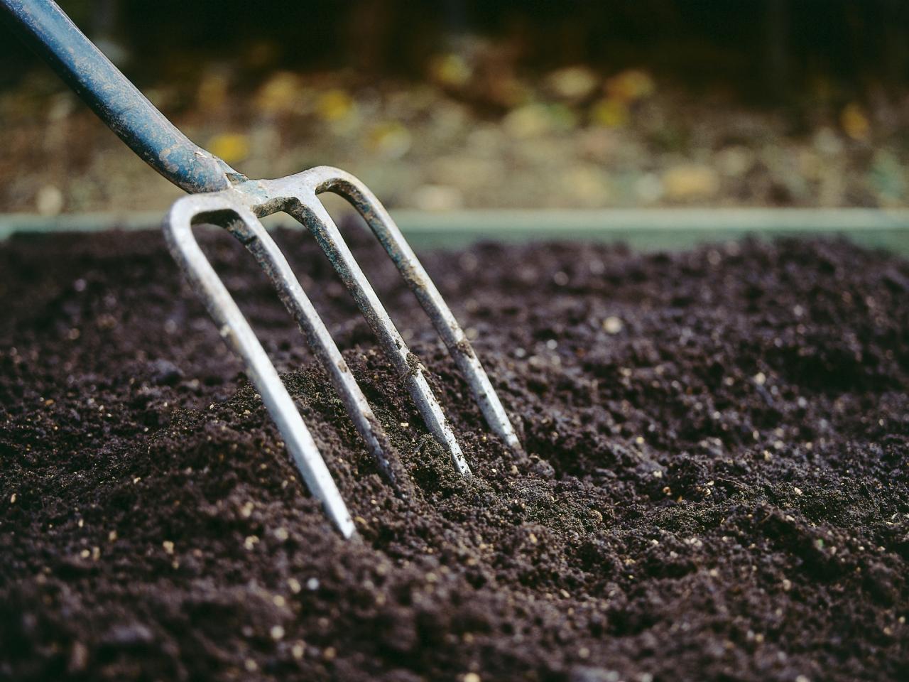 The importance of soil type