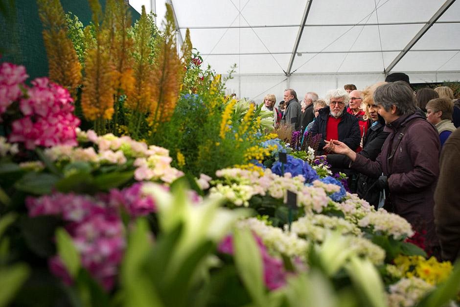 RHS Flower Show postponed