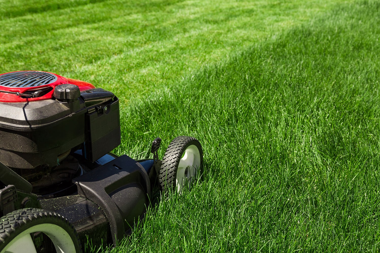 Summer lawn maintenance