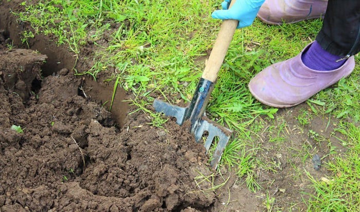 Start tiling or turning the soil