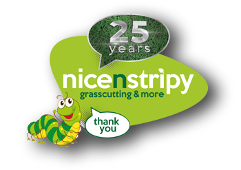 nicenstripy logo