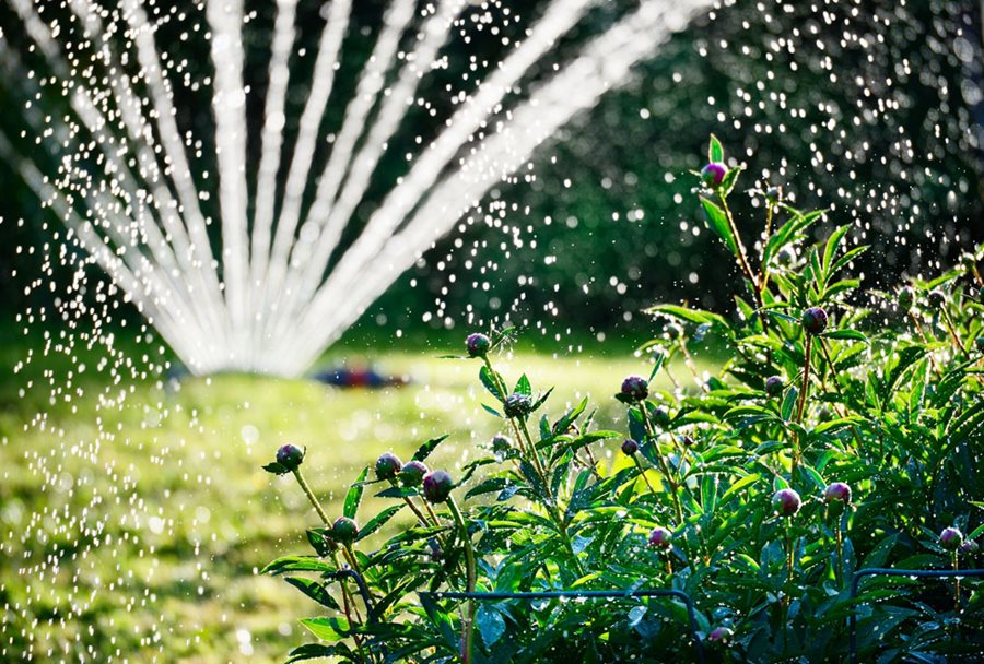 Garden irrigation systems