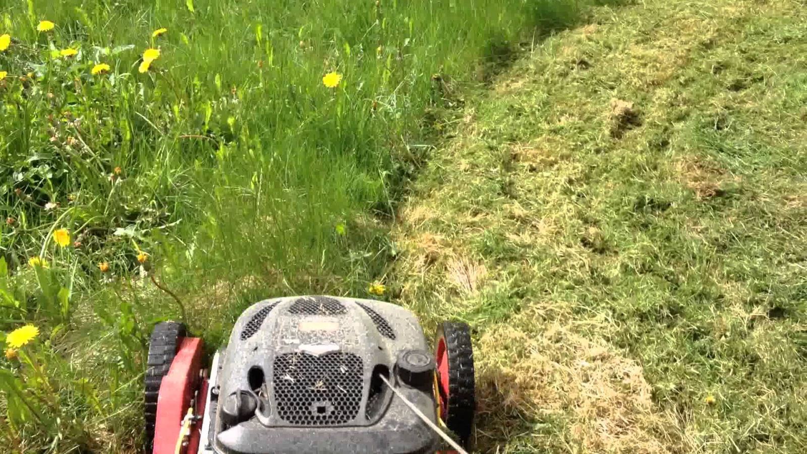 Cutting Long Grass?