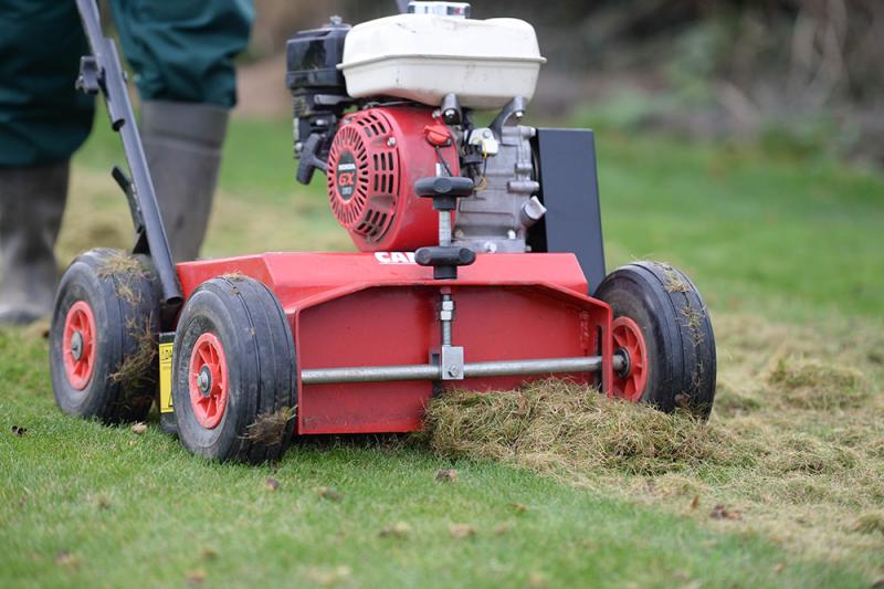 When is the best time to scarify my lawn? - Nicenstripy