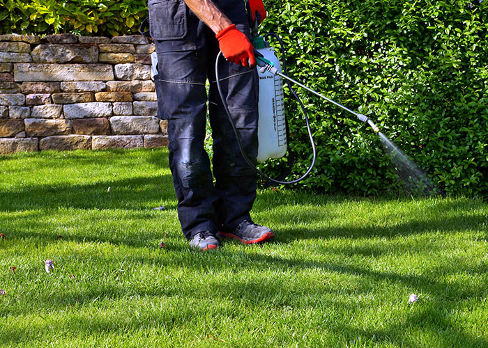 Weed control in spring